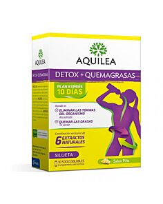 AQUILEA DETOX  10 STICKS 15 ML SABOR PI